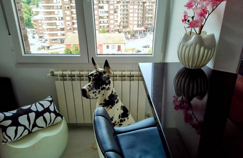 Solares Apartment | Modern Luxury Loft Newly Renovated