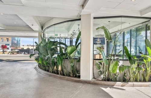 Venice Hotel | Modern Room in Venice Beach | Balcony | Rooftop | Free Breakfast