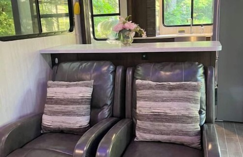 Grand Rapids House | Modern RV come “GLAMP” in style