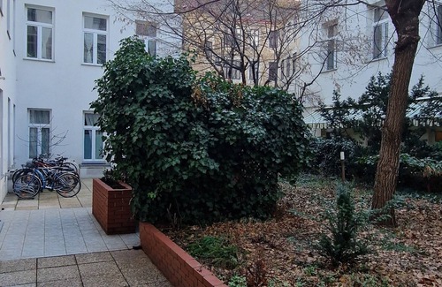 Weißgerber Apartment | Moderne Altbauwohnung in Zentraler Hofruhelage!