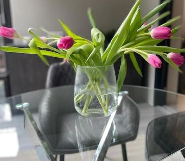 Burgthann Apartment | Moderne Ferienwohnung in Waldrandlage mit einem Hauch von Luxus