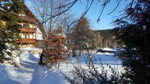 Finsterbergen Apartment | Moderne Komfortwohnung im Kurort am Rennsteig