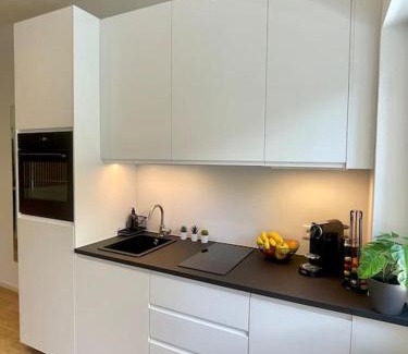 Karlsruhe City Centre Apartment | Modernes Apartment im Zentrum von Karlsruhe