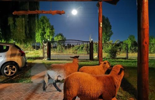 Molina House | Molina, cerca de 7 Tazas, campo con animales