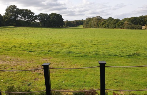 Marsham Cabin | Molly, nestled in a peaceful farm in Marsham, North Norfolk