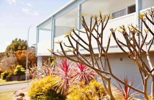 Mollymook Hotel | Mollymook Motel