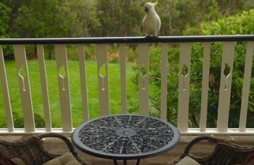 Wentworth Falls Bed & Breakfast | moments Mountain Retreat