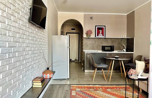 Almaty Apartment | "Mono" cozy 1-bedroom with WiFi and AC in center of Almaty with mountian view