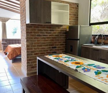 Tibasosa Apartment | Monoambiente con Vista - La Violeta