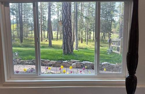Kings Point Apartment | Montana Forest Retreat, Easy Walk to Flathead Lake, 1.5 Acres Fenced for Dogs!