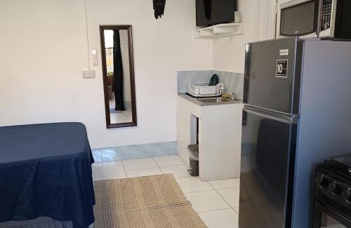 Mango Walk Apartment | Montego Bay Garden Studio