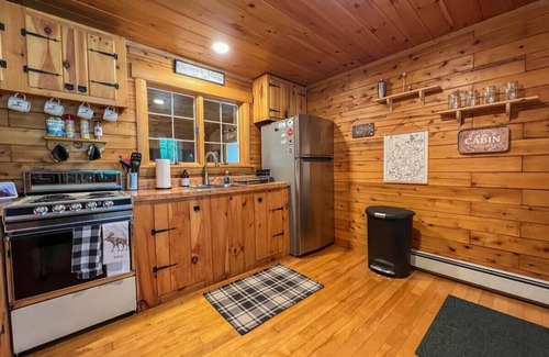 Denmark Cabin | MOOSE CABIN | 5-Star Maine Experience | Hot Tub
