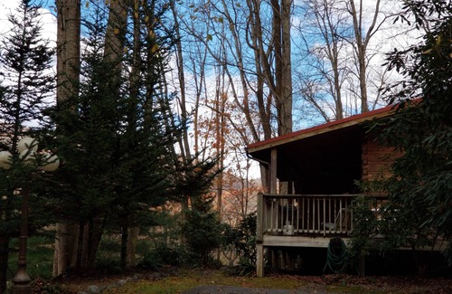 Waynesville Cabin | Moose Crossing Tall Woods Cabin, number 3
