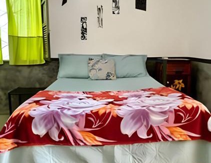 Cidade Velha House | Morada da Arte Vânia Braun