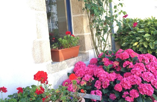 Noyal-Muzillac House | Morbihan Gulf-Near Ocean, calm, village house