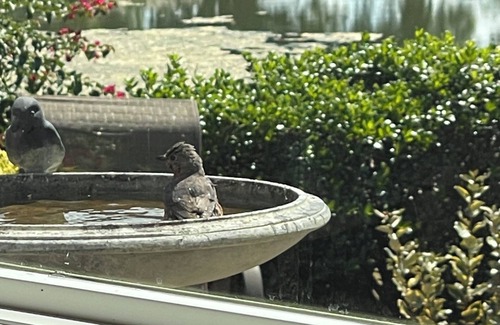 Alhambra House | Morning Coffee w/Sunrise 1-2 bedroom in The Villages w/WIFI