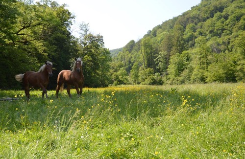 Cusance Bed & Breakfast | Moulin de la Cuse - Chambre l'Anse