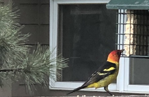 Kerr Gulch House | Mountain Escape, Prestigious Kerr Gulch Valley!