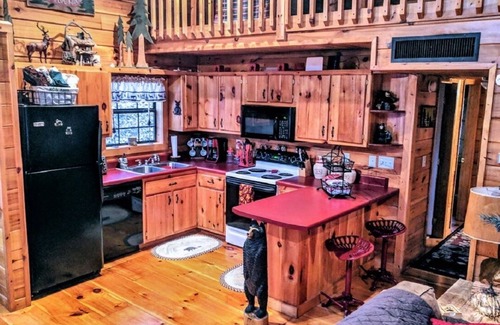 Murphy Cabin | Mountain Log Cabin in Woods with Fiber Wi-Fi & 1st Responder/Military Discounts!