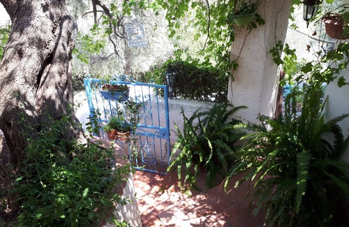 Maeggio House | mountain smells