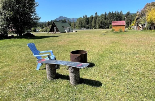 Packwood Cabin | Mountain View | 1 Bed, 1 Bath