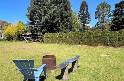 Packwood Cabin | Mountain View | 1 Bed, 1 Bath