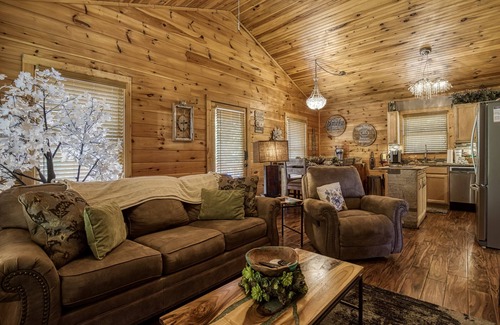 Pigeon Forge Cabin | Mountain view,Ferris Wheel View,spa shower,outdoor tv -Close to Pigeon Forge