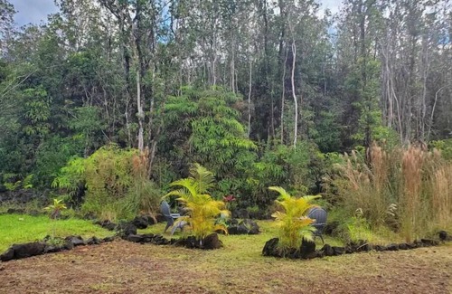 Fern Forest House | Mountain View Retreat Unit 2 - highly rated on leading vacation rental sites!
