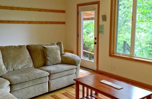 Glacier Ski Chalet | Mt Baker Rim Cabin 70 A pet friendly vacation home with a hot tub and wifi