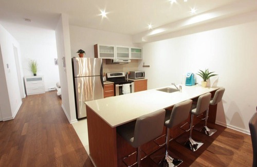 Plateau Mont Royal Apartment | MTLVR #01 | Plateau, Open concept, Metro 5 min