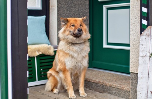 Lennestadt Apartment | Muehls-Sauerland near Elspe-Festival with garden, family & dog friendly