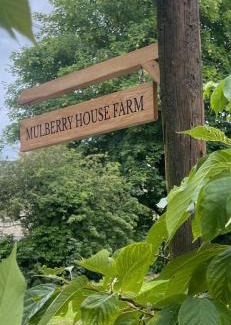 Burton House | Mulberry House Farm The Garden Room