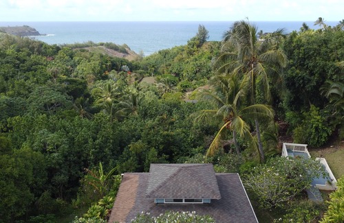 Kilauea House | Multi-Dwelling, Private Estate with Ocean Views and Two Hot Tubs TVNC#4284