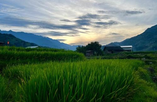 Sa Pa Bed & Breakfast | Muong Va Valley - Homestay, Restaurant, coffee - Tả van sapa