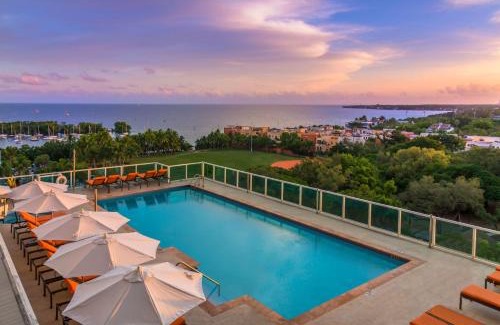 Coconut Grove Hotel | MVR Suite-A Stay That Feels Like a Private Resort