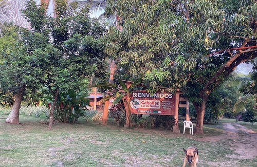 Tuxtla Chico Cabin | Flores exóticas Cozy cabin charming 1ra. Sección de Guillén Oriente WiFi, AC