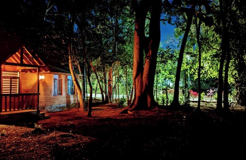 Ixtapa Cabin | Free pet-friendly nice Cabin/Wifi/AC/Kitchen/Grill