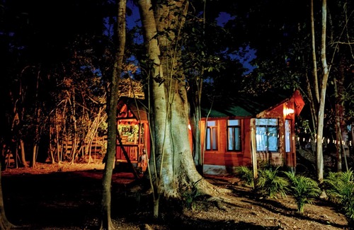 Ixtapa Cabin | Free pet-friendly nice Cabin/Wifi/AC/Kitchen/Grill
