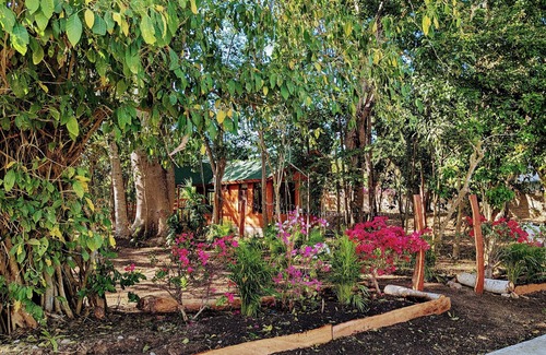 Ixtapa Cabin | Free pet-friendly nice Cabin/Wifi/AC/Kitchen/Grill
