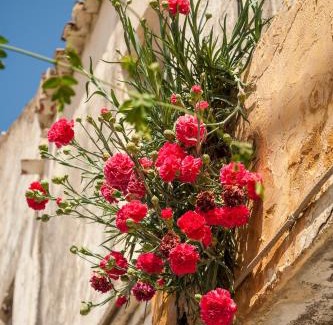 Stalos Villa | My Villa Dafni