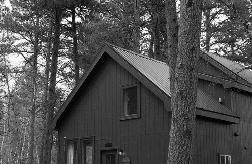 Lead Cabin | Mysa Cabin located in a beautiful wooded area outside of Deadwood - 3BR/2B