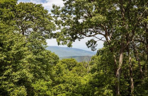 Nellysford House | Nancy's Edelweiss with Wintergreen Advantage