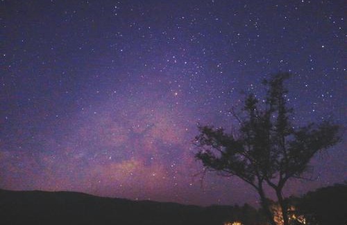 Phrao Other | Napahong Treehouse forest camp