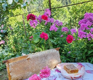 Racha-Lechkhumi and Lower Svaneti House | Napertskala Guesthouse