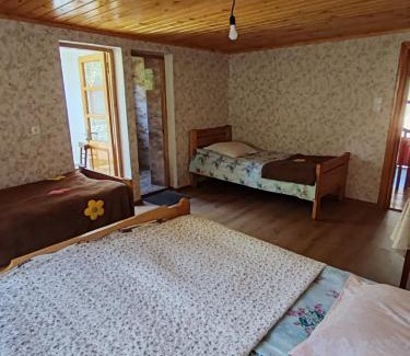 Racha-Lechkhumi and Lower Svaneti House | Napertskala Guesthouse