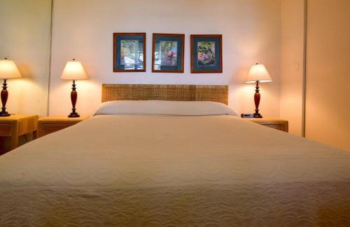 Napili House | Napili Point A8 · NP A8 OceanFront 1BD Condo w Ocean Views AC Po