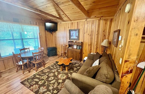 Pleasant Grove Cabin | nArkansas Traveler #4 walk to square in Mountain View 2-room cabin New to Vrbo