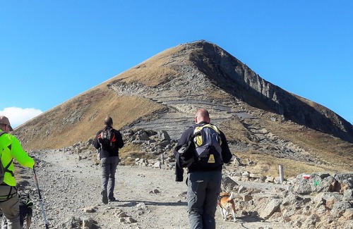 Picherande House | Nature and Mountain holidays in Auvergne - Dogs welcome!