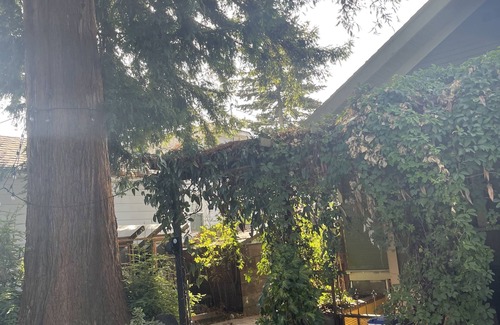 Piedmont House | Nature oasis close to the heart of the city