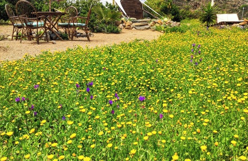 Arico Cabin | Nature retreat with optimal sea views, sunrise and stargazing